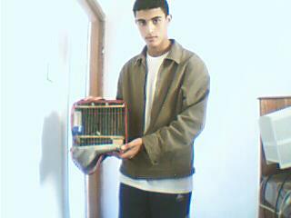 moi 2 lol